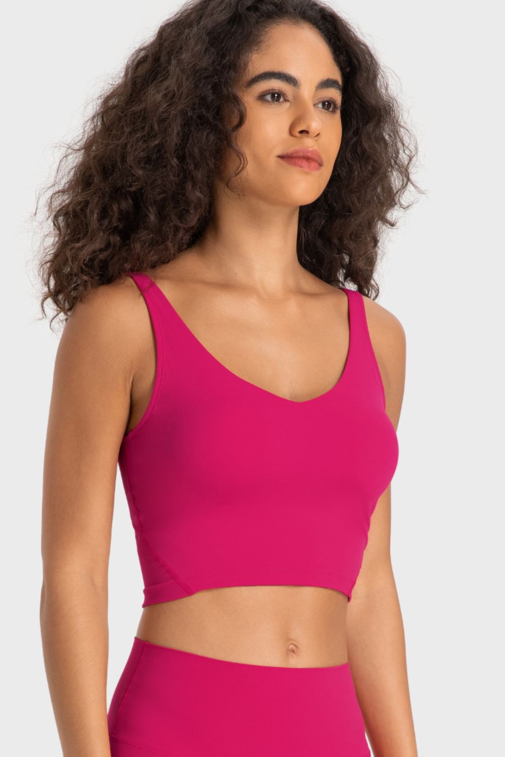 Honeybee Mumford's Deep V-Neck Crop Sports Bra