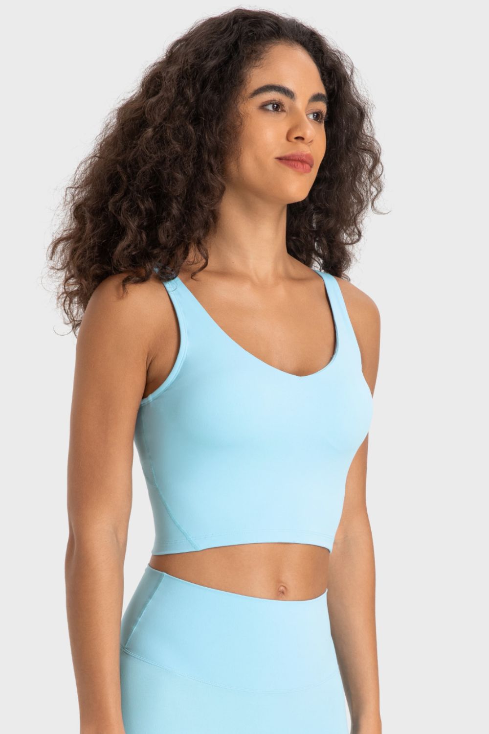 Honeybee Mumford's Deep V-Neck Crop Sports Bra