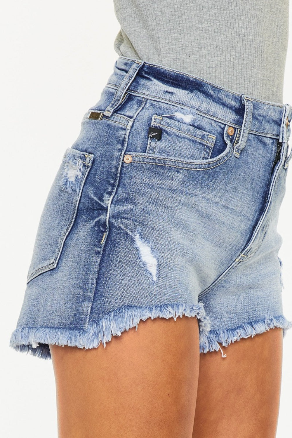 Honeybee Mumford's Distressed Raw Hem Denim Shorts