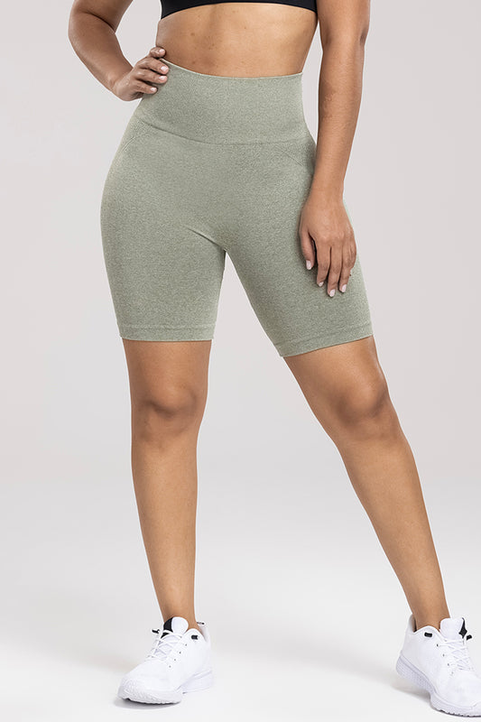 Honeybee Mumford's Wide Waistband High Waist Active Shorts