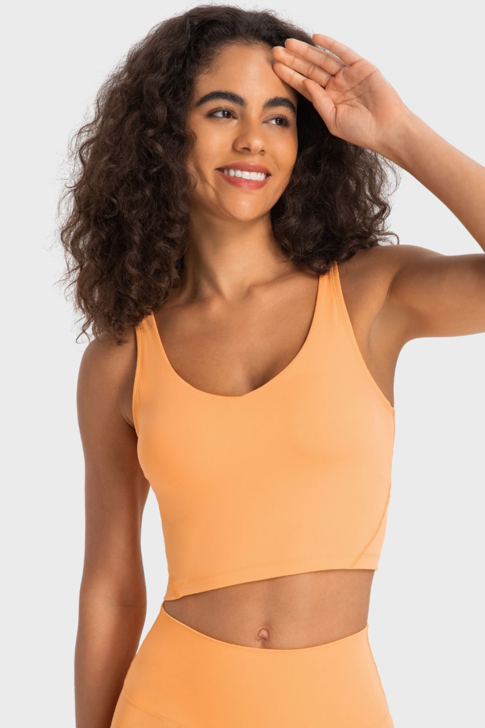 Honeybee Mumford's Deep V-Neck Crop Sports Bra