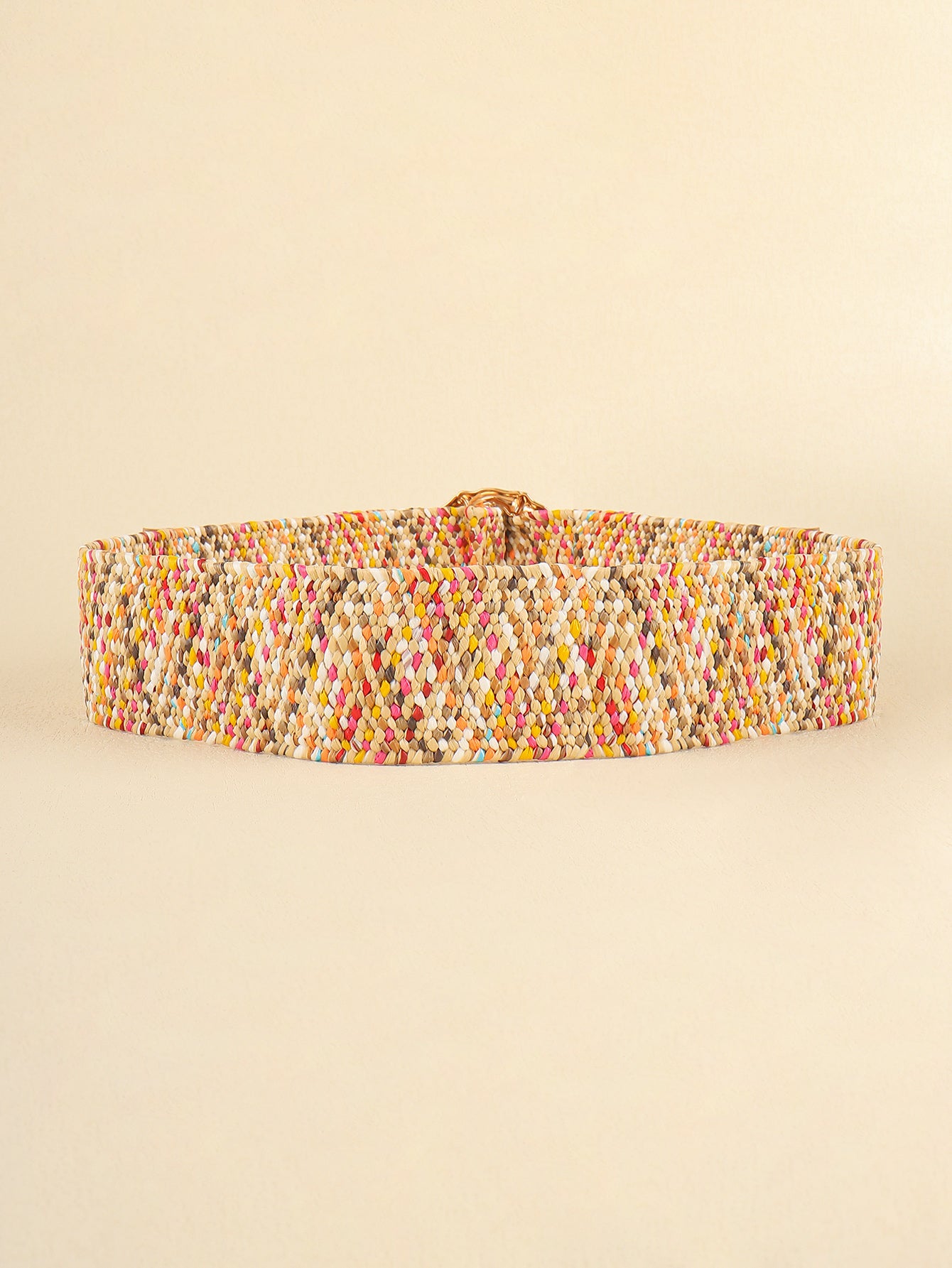 Honeybee Mumford's Multicolored Wide Belt