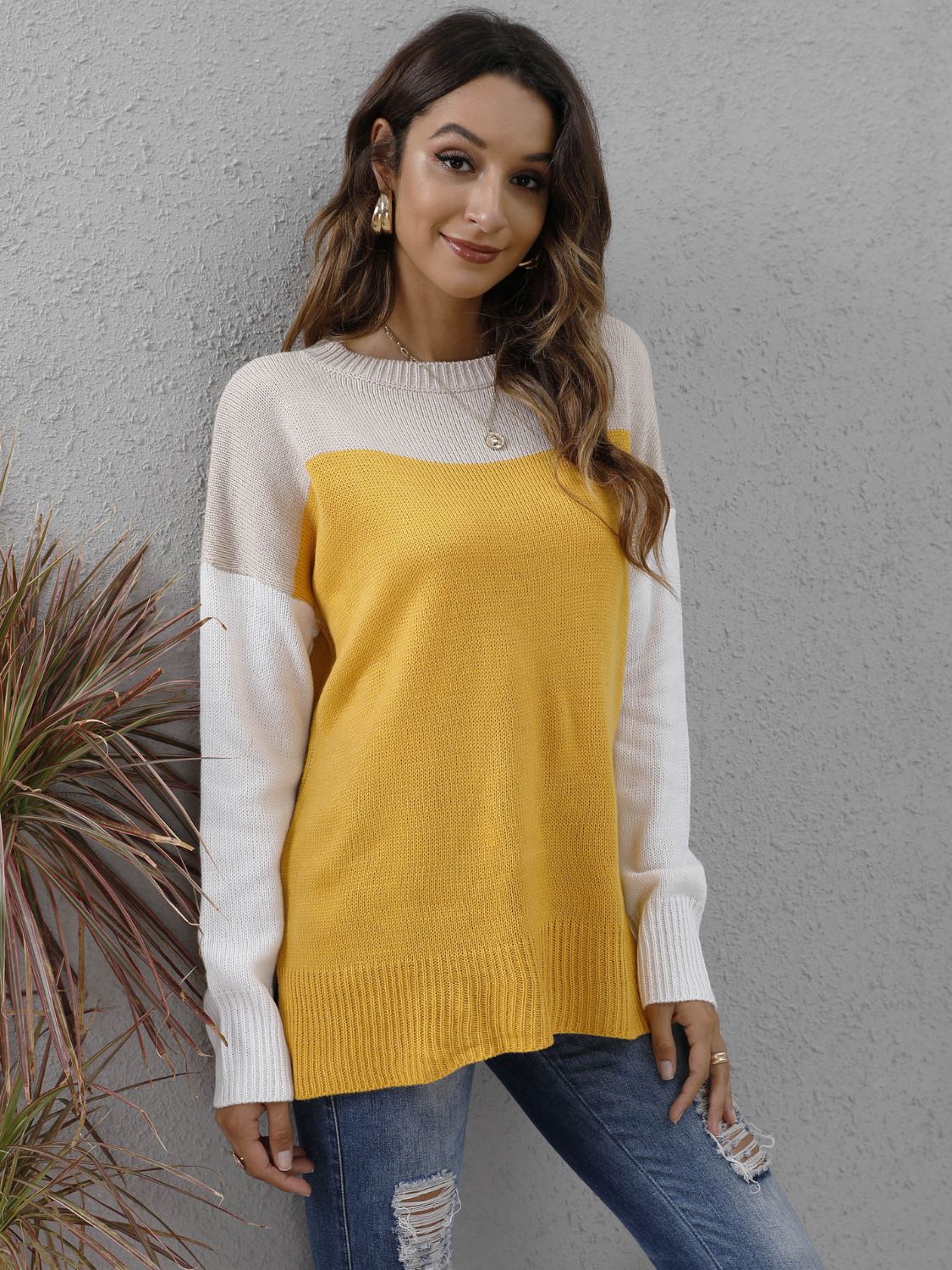 Honeybee Mumford's Color Block Round Neck Dropped Shoulder Sweater