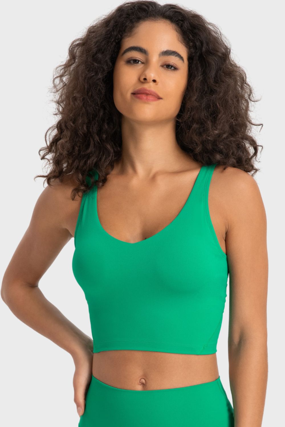 Honeybee Mumford's Deep V-Neck Crop Sports Bra